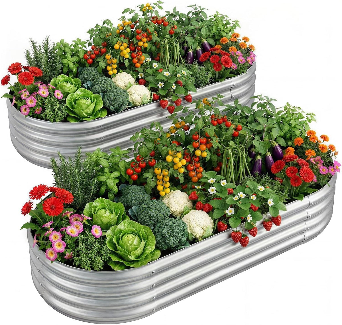 Pair of silver galvanized oval raised garden beds planted with strawberries and greens
