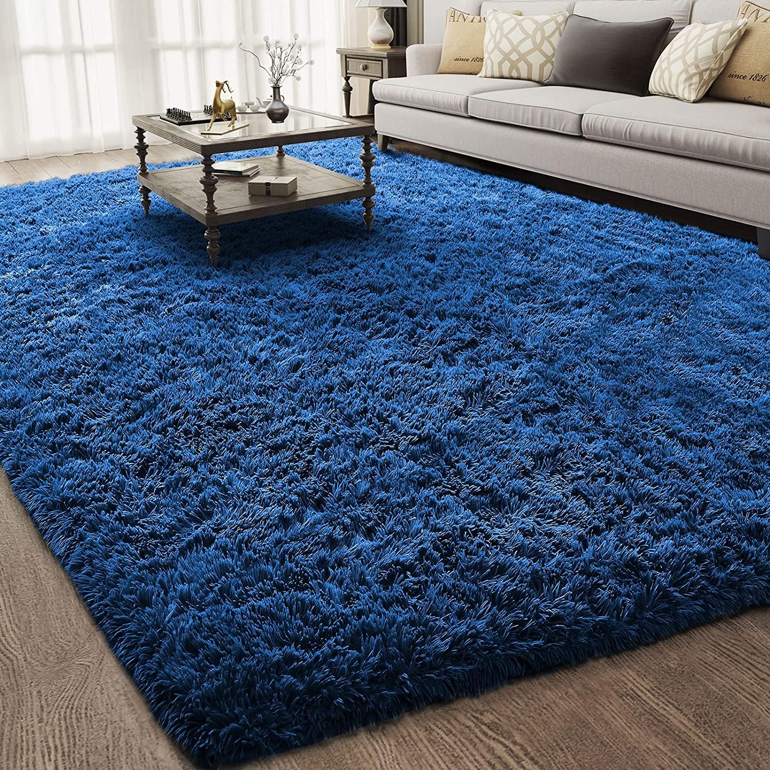 Ophanie Area Rugs for Bedroom Living Room
