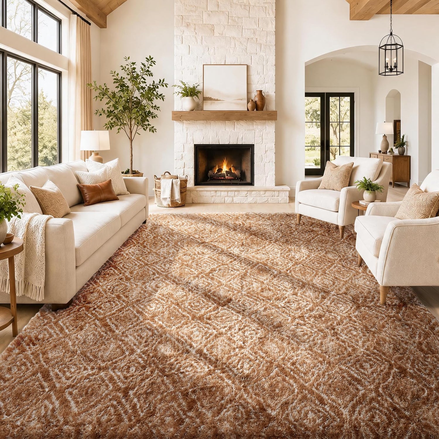 Ophanie Area Rugs for Bedroom Living Room