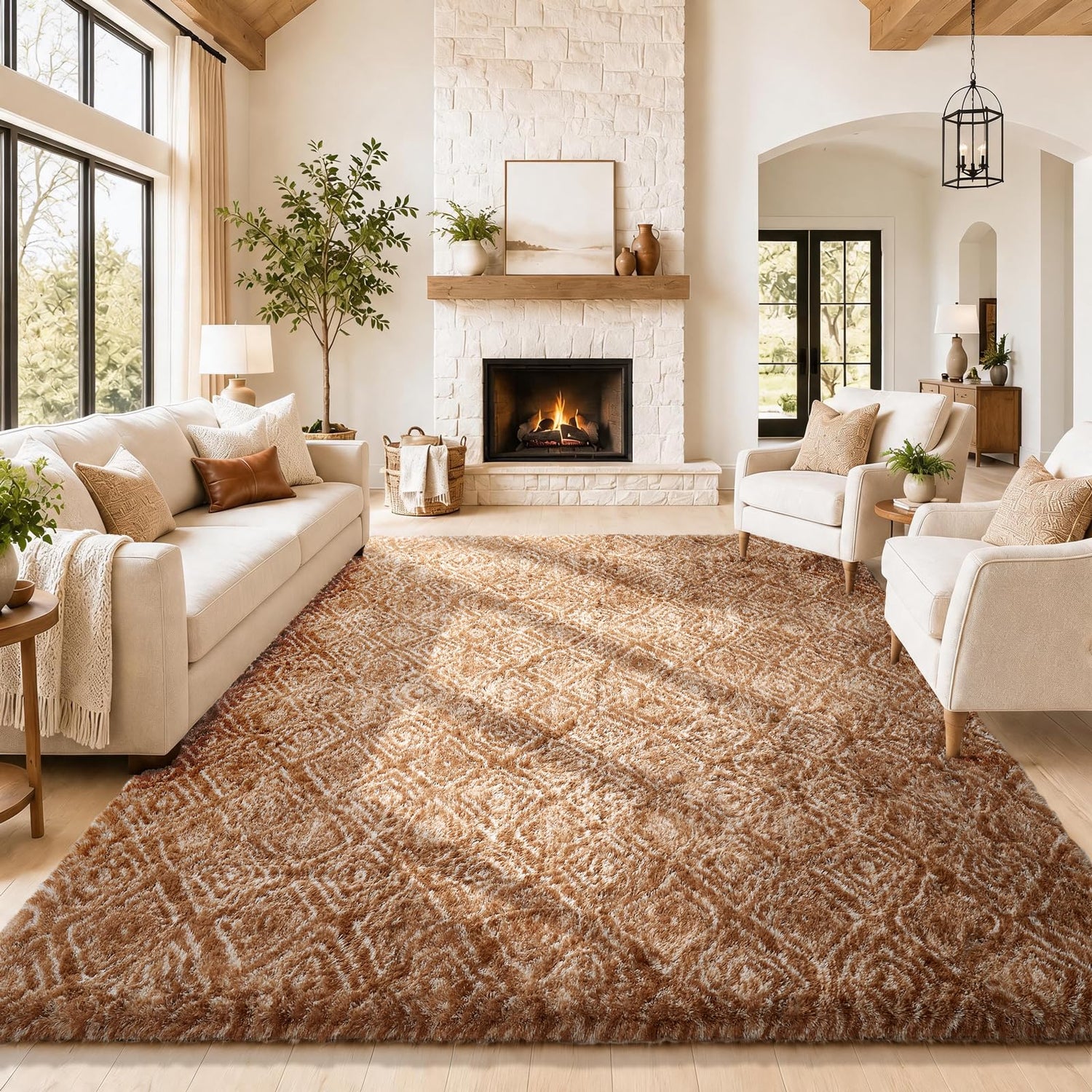Ophanie Area Rugs for Bedroom Living Room