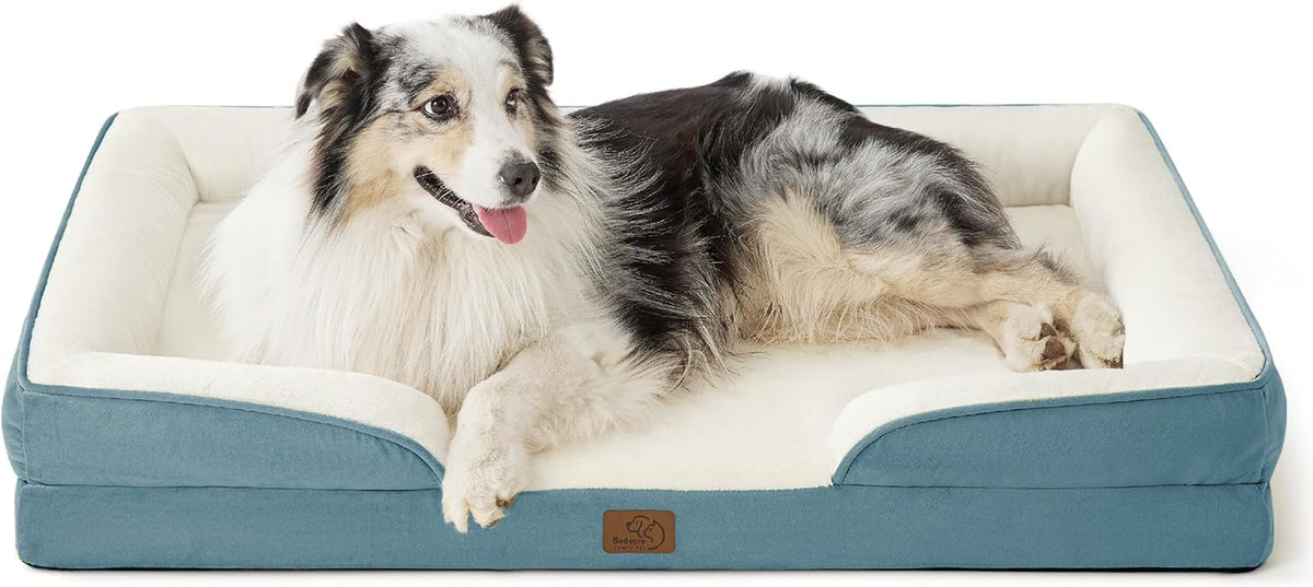 Front view of a teal exterior bolster bed with cream interior and a merle dog reclining, white background