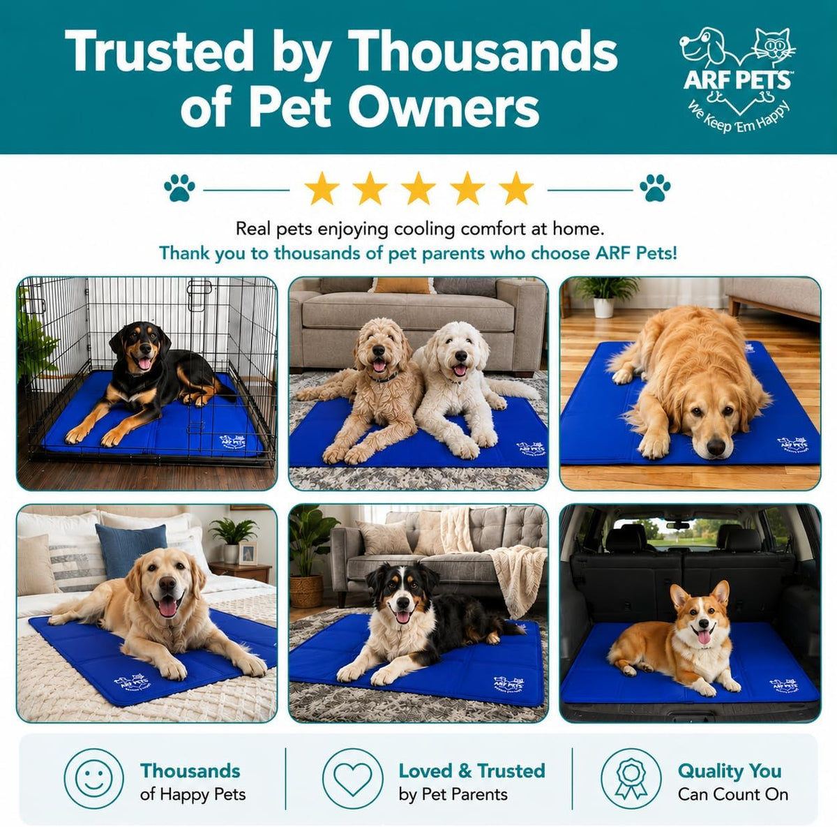 Six small photos showing various dogs using the same blue cooling mat in different settings