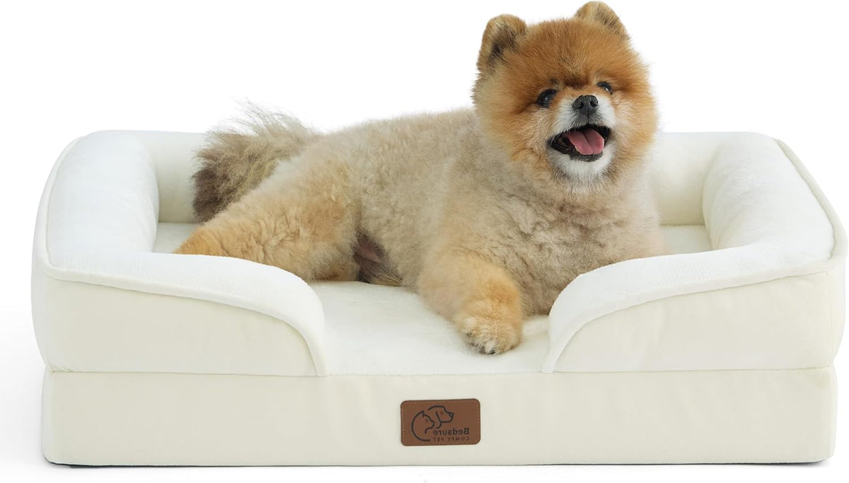 Cream-colored bolstered dog bed with a fluffy Pomeranian lying facing forward