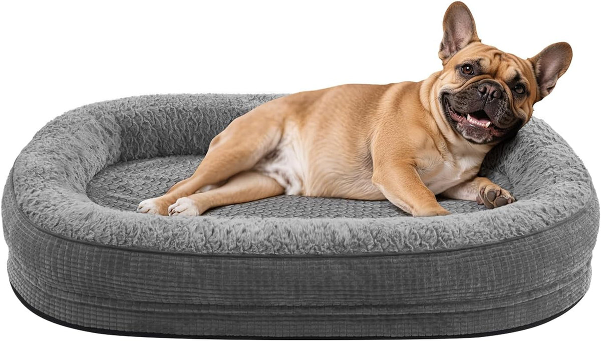 Gray oval bolstered dog bed with a tan French bulldog reclining and smiling