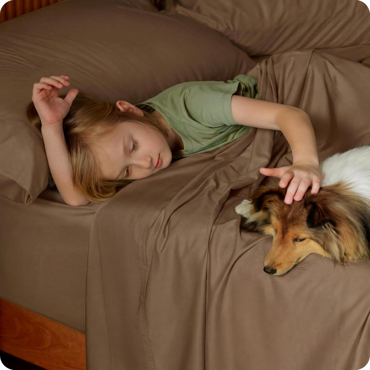 Child lying on a bed petting a collie while brown fitted sheet and pillowcases cover the mattress.