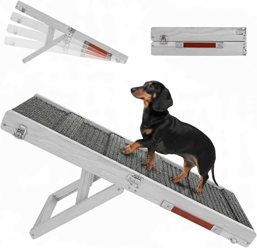 Light-washed wood ramp angled upward with faded overlay of multiple leg positions and a small dachshund