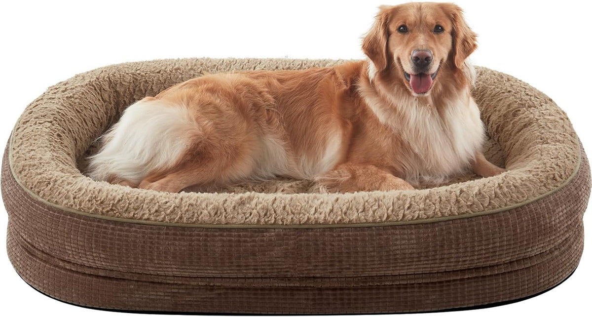 Brown oval bolster dog bed with a golden retriever lying contentedly, front-facing view.