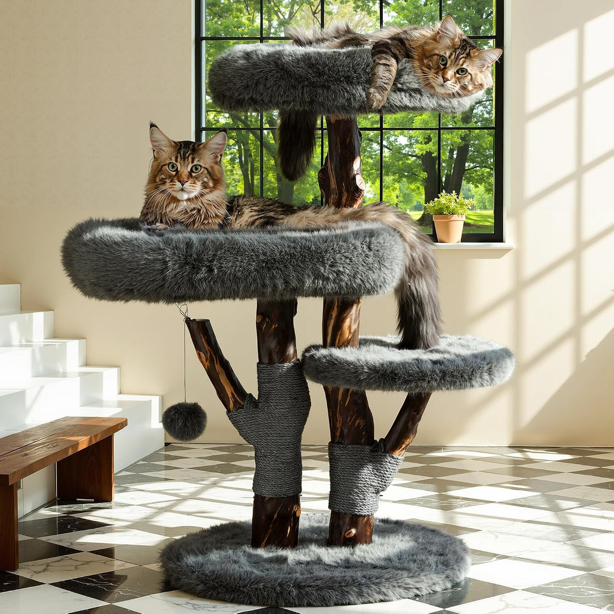 Plush three-level cat tree with faux-wood posts and two Maine Coon cats lounging on platforms by a window
