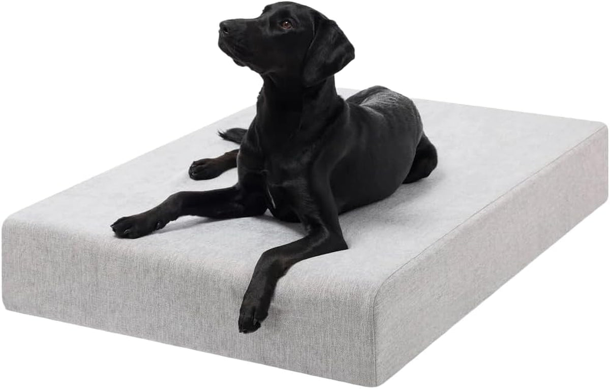 Black dog reclining on a light-gray linen-like dog bed shown at an angled front view against a white background