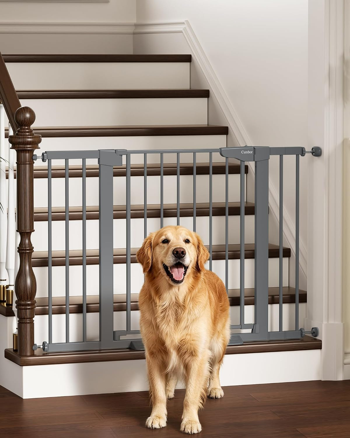 Gray metal safety gate installed across the top of a wooden staircase with a golden retriever standing in front.