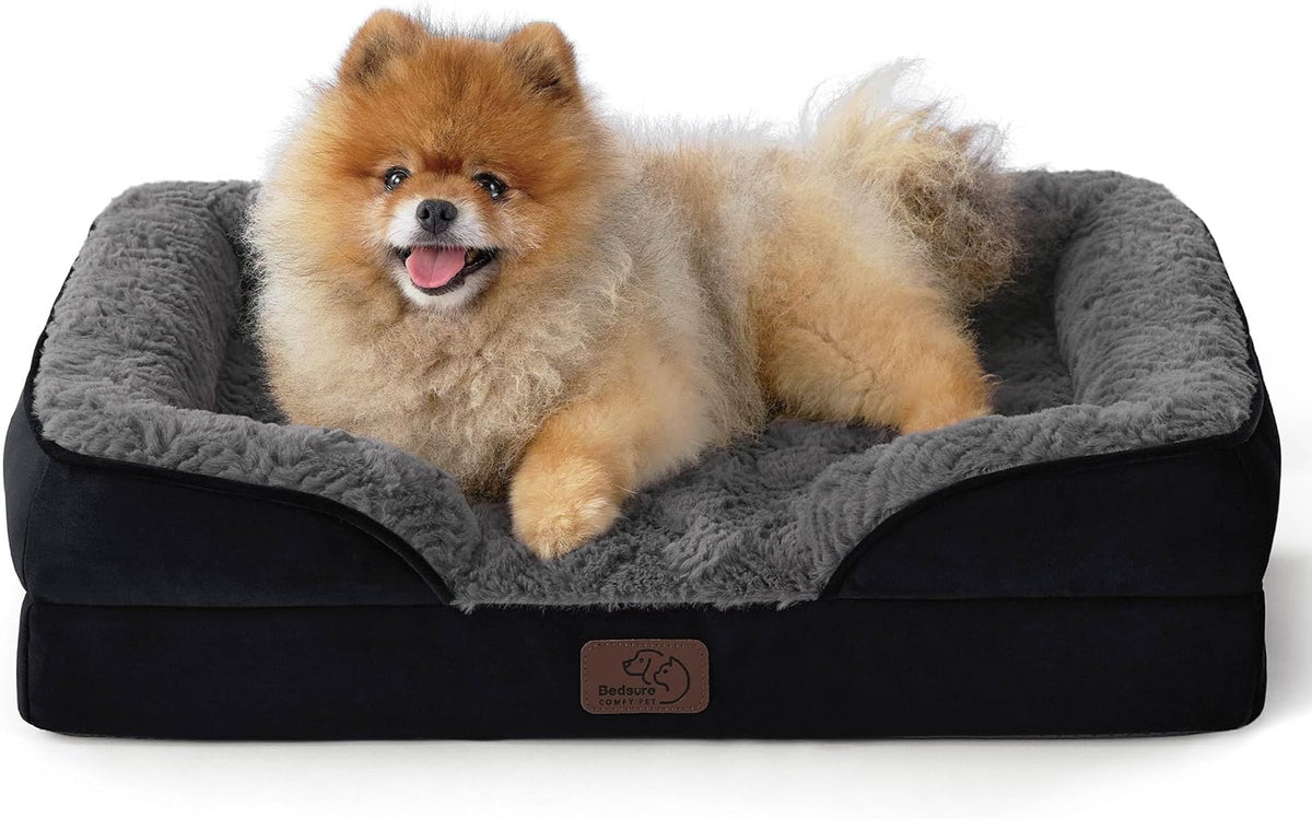 Fluffy Pomeranian smiling while curled on a black bolster bed with plush gray interior.
