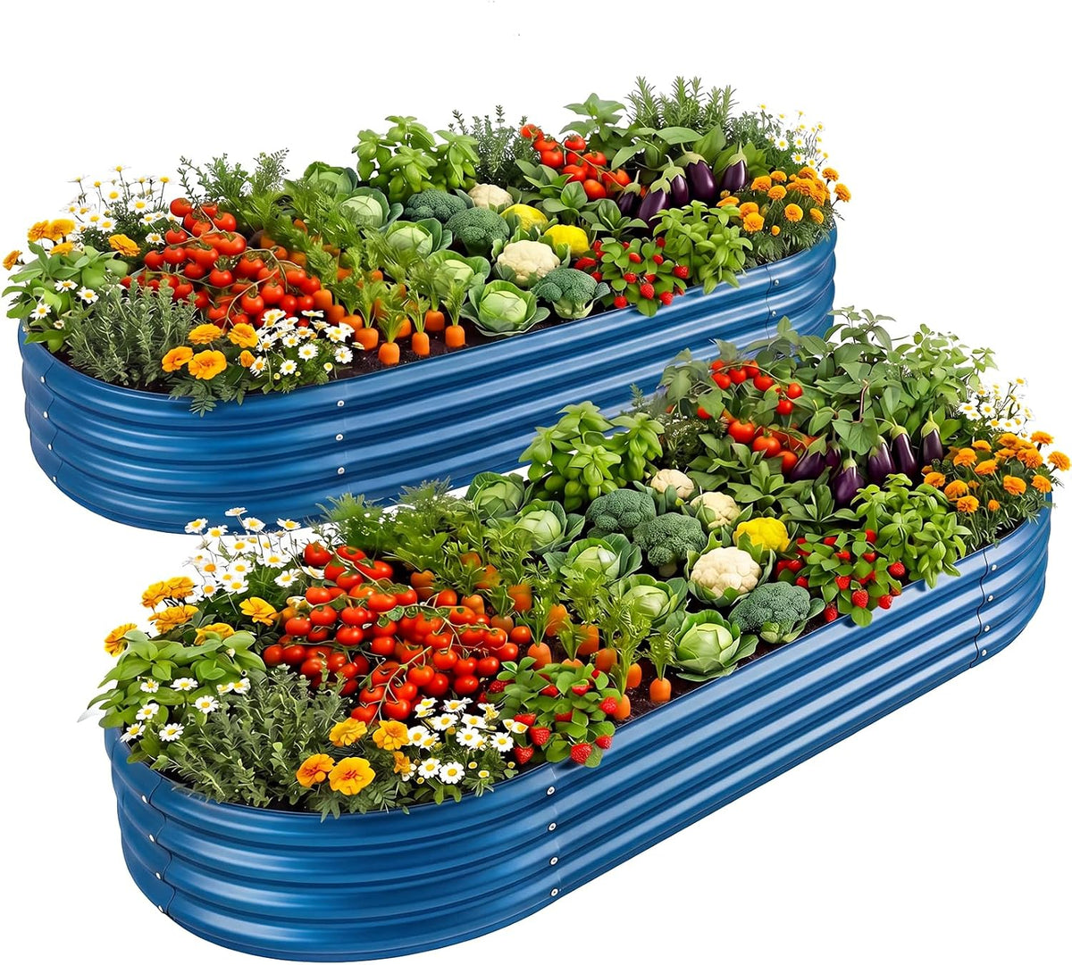 Pair of blue corrugated oval raised garden planters planted with colorful veggies