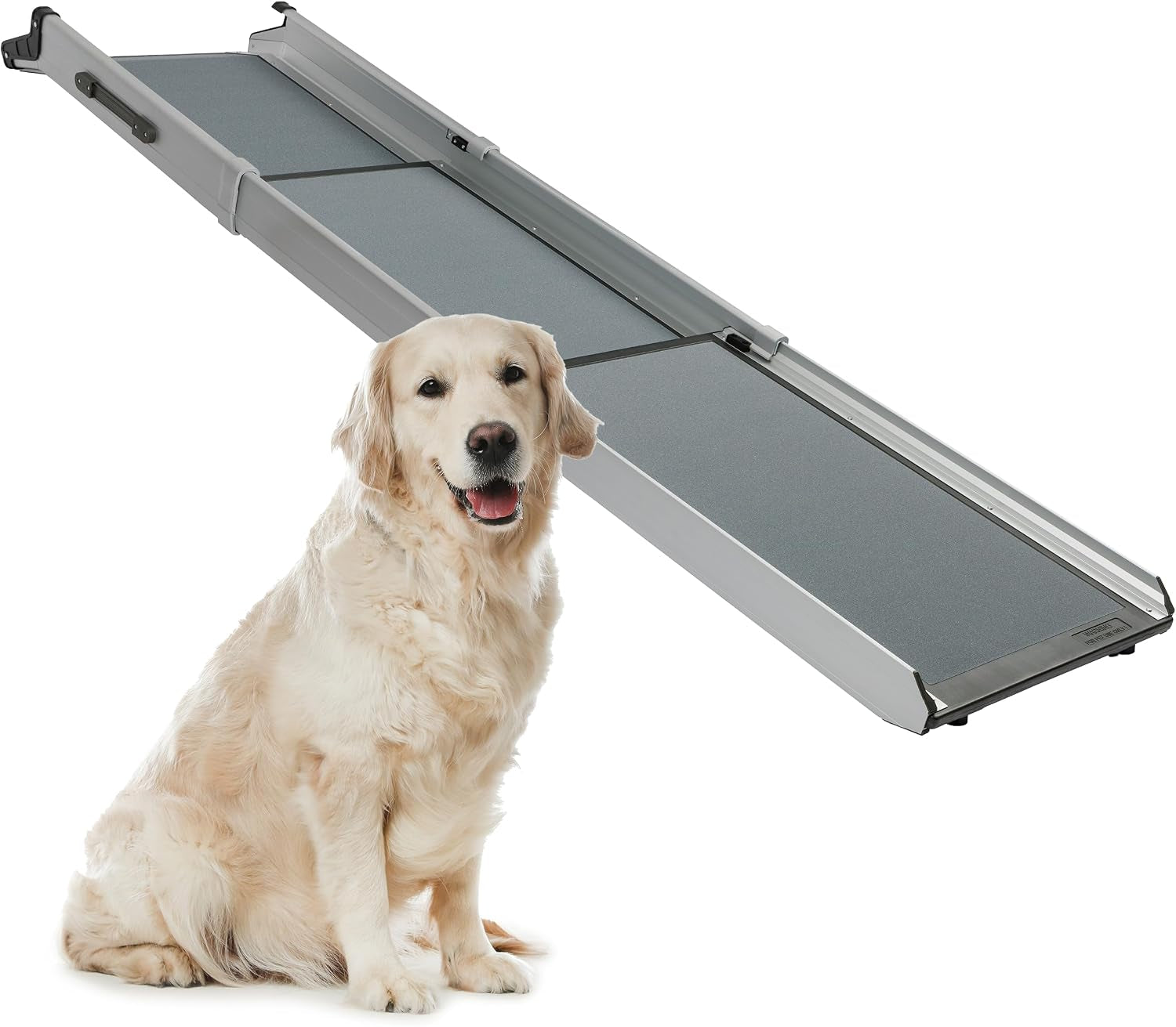Angled view of a gray telescoping ramp suspended above a sitting golden retriever on a white background.