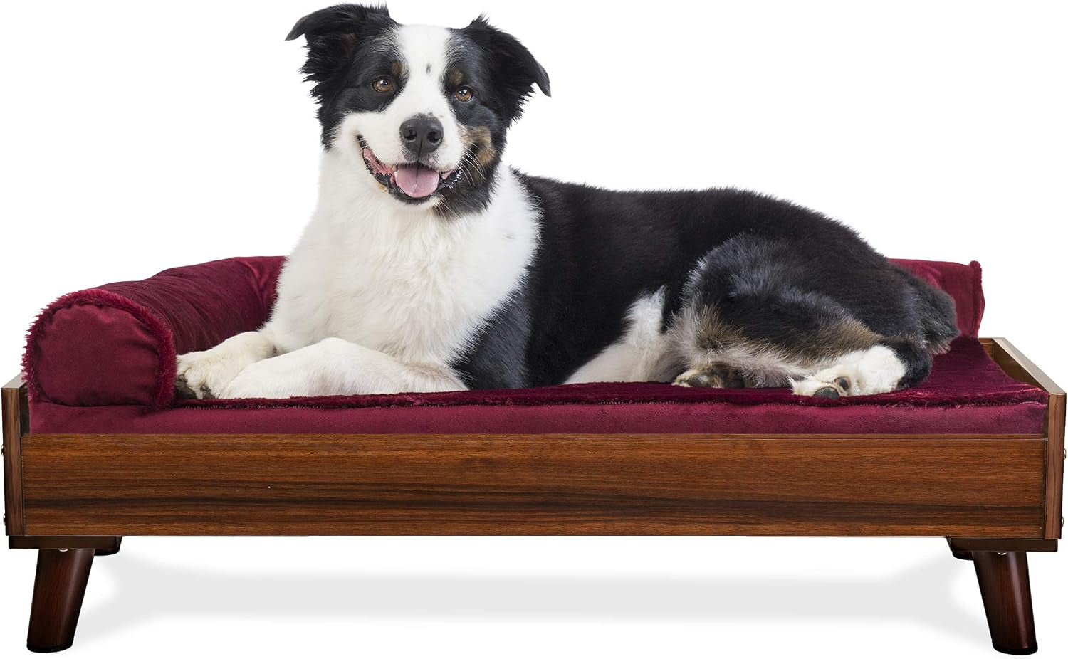 Black-and-white dog resting on a burgundy cushion inside a walnut-finish elevated wooden bed frame