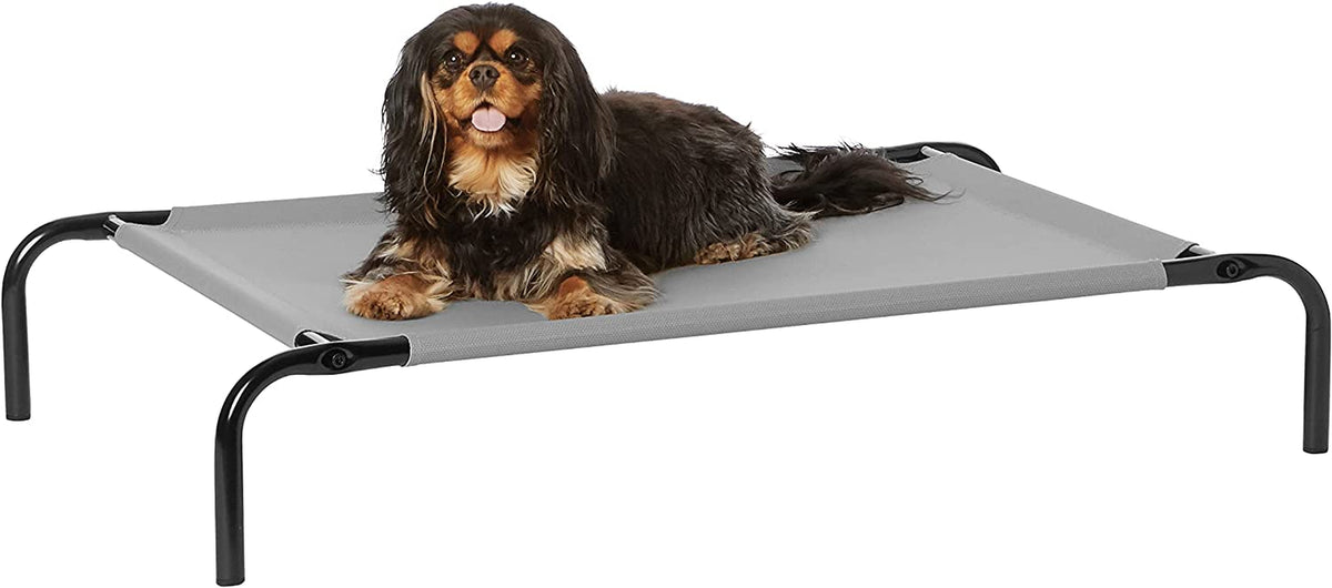 Small long-haired dog lying on a grey elevated dog bed shown against a white background.
