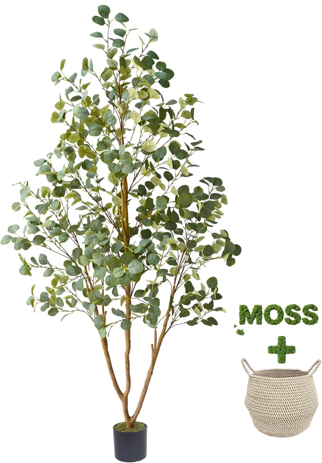 Tall artificial eucalyptus tree with three brown trunks, many round green leaves, black nursery pot; woven basket and moss
