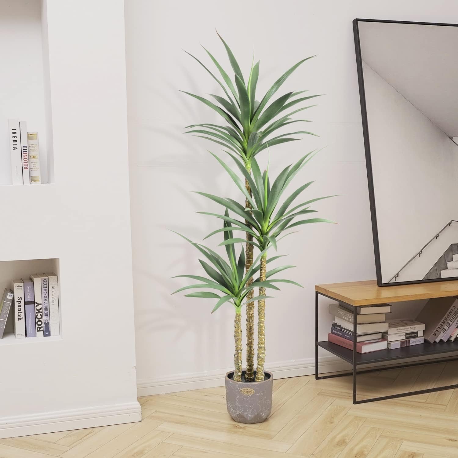 Three-trunk agave beside a leaning floor mirror and recessed wall shelves on light chevron flooring.