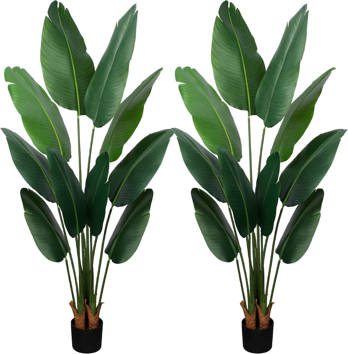 Pair of artificial bird-of-paradise plants showing trunks and black pots on a white background