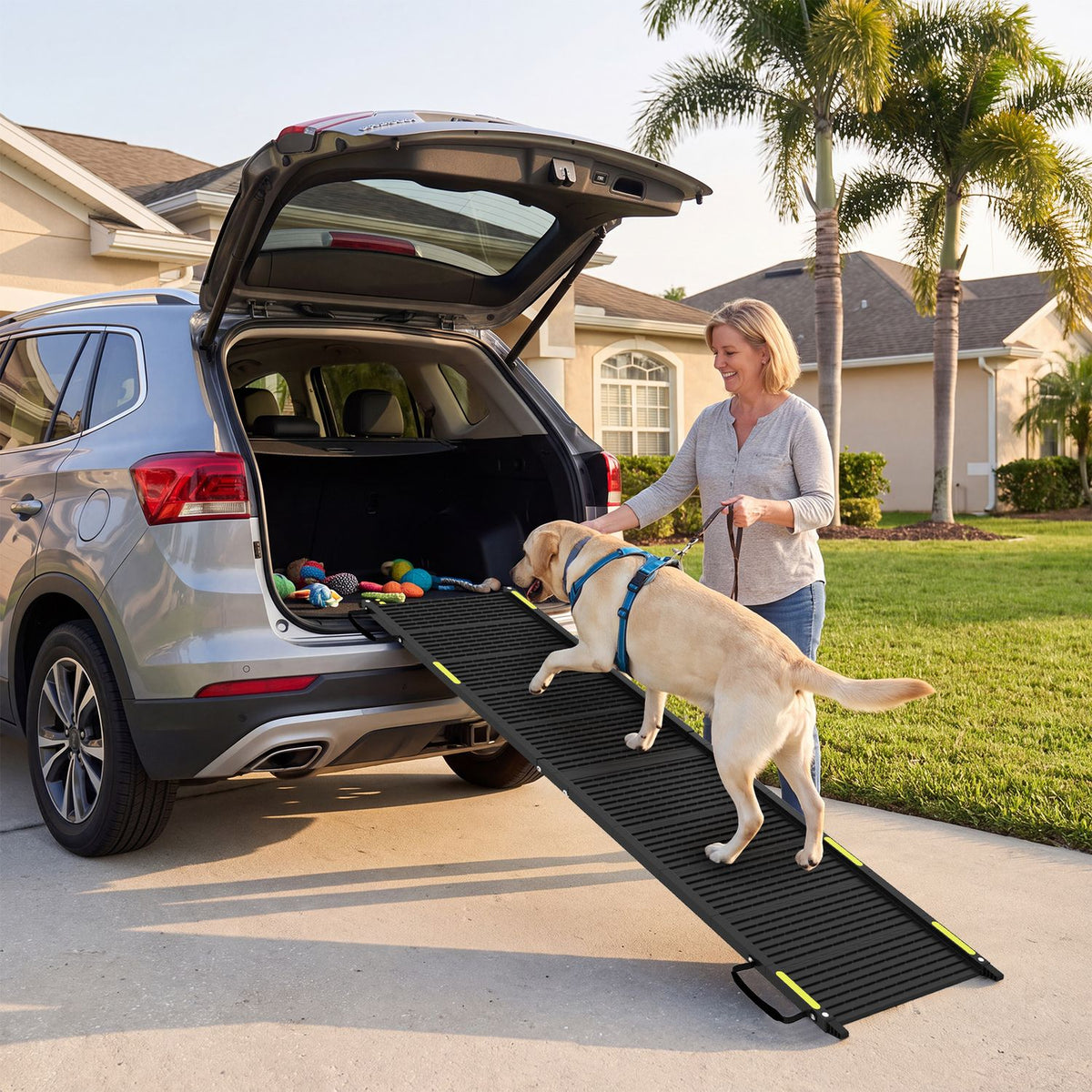 Black folding dog ramp reaching from an SUV to the driveway as a dog climbs aboard