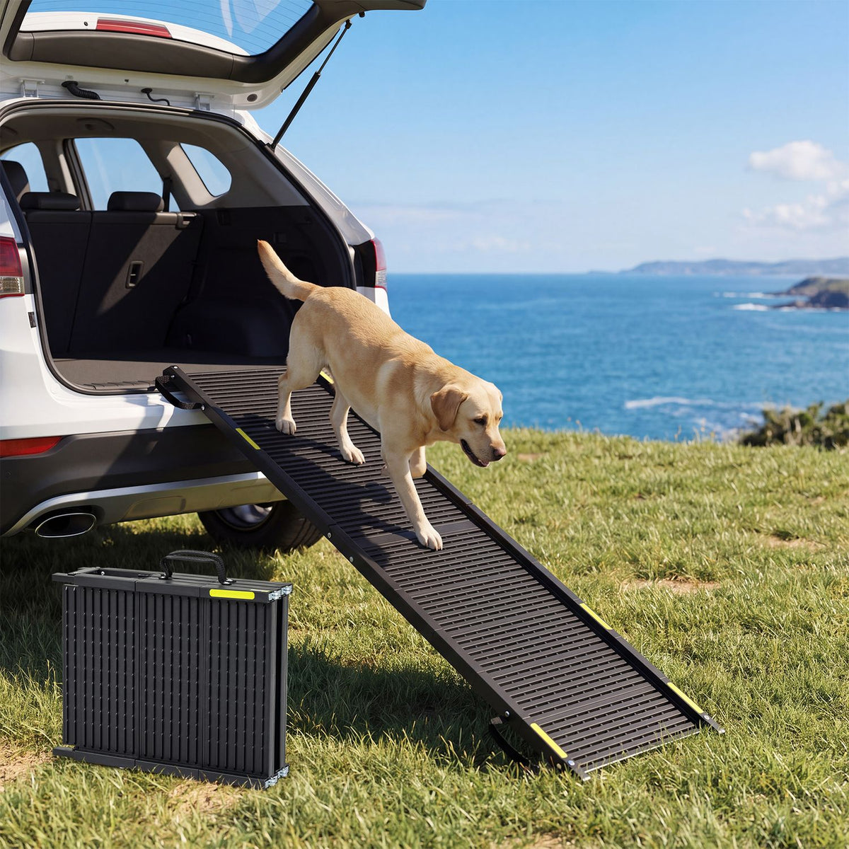 Black folding ramp extending from an SUV as a dog walks down beside the coast