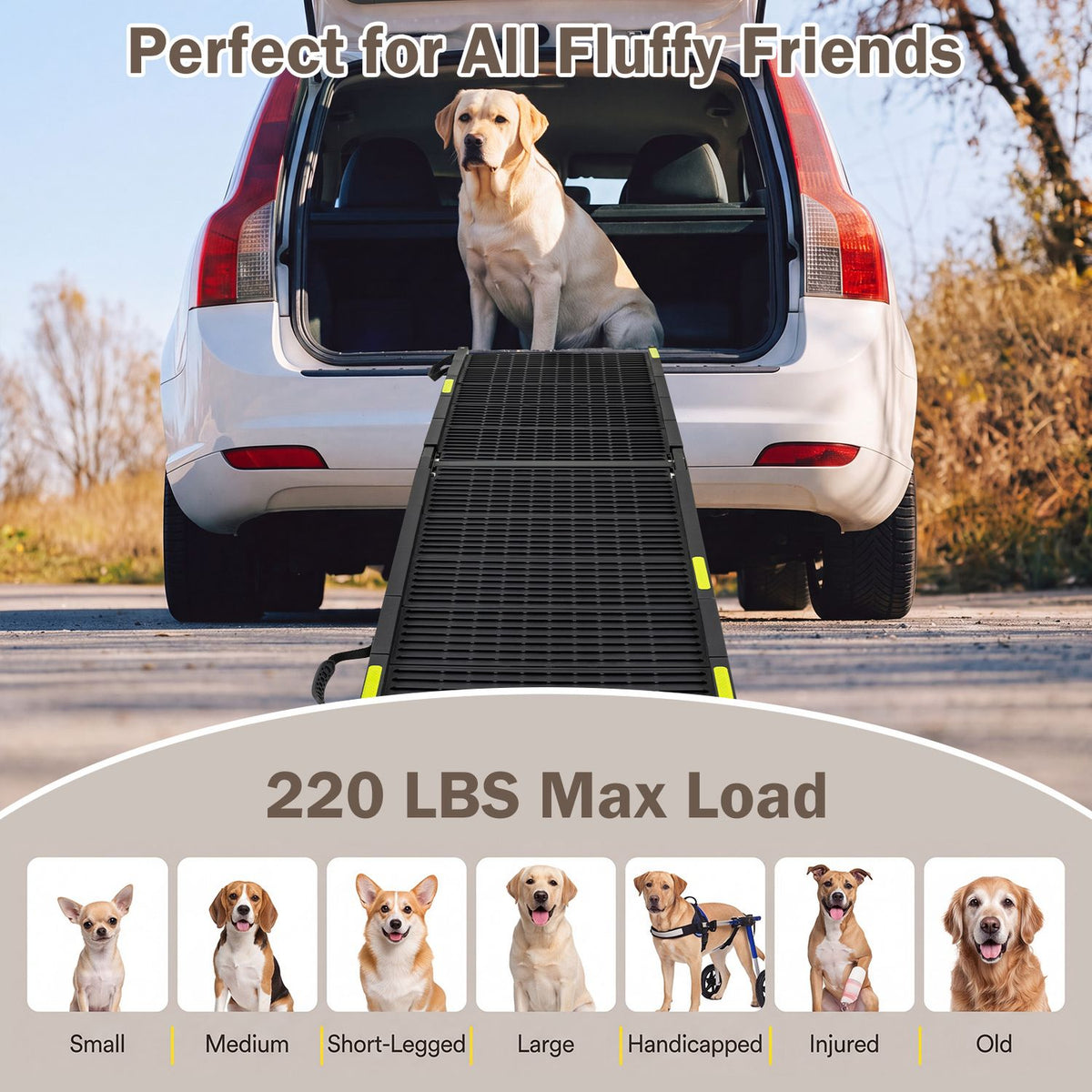 Black dog ramp behind an SUV with a dog and illustrations of different dogs below