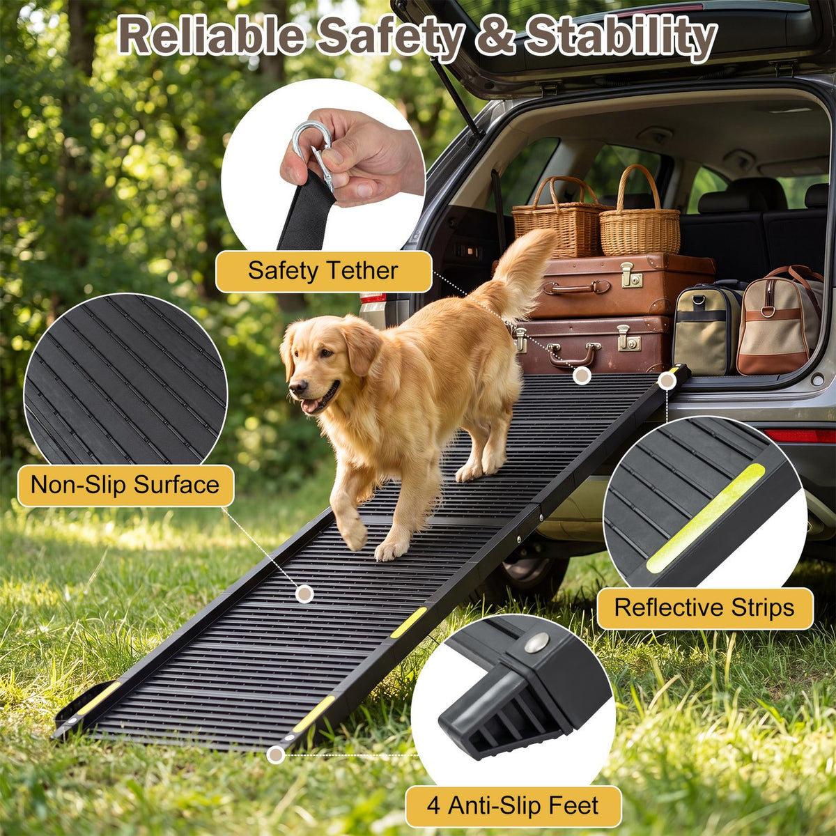 A dog uses the ramp beside close-up views of its textured surface, tether, reflective strips, and feet.