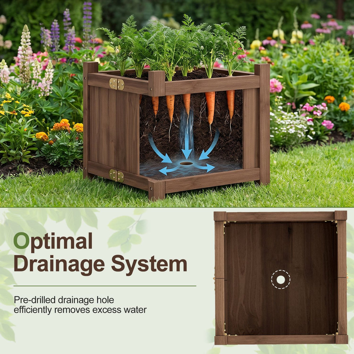 Raised garden bed cutaway graphic with carrots and drainage arrows above a bottom view