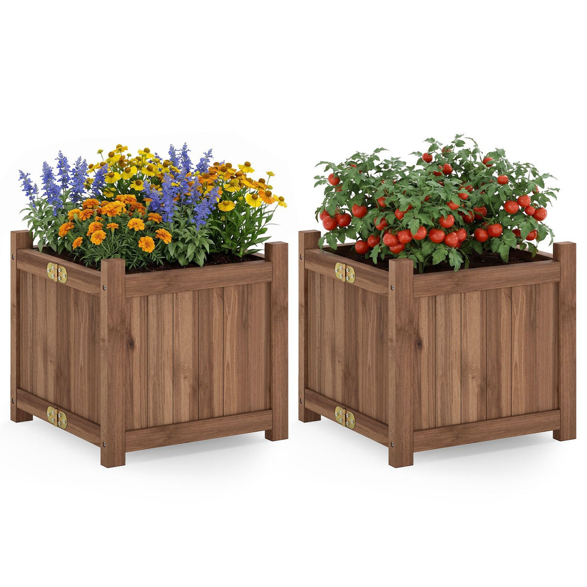 Two wooden square planters filled with flowers and tomato plants against a white background.