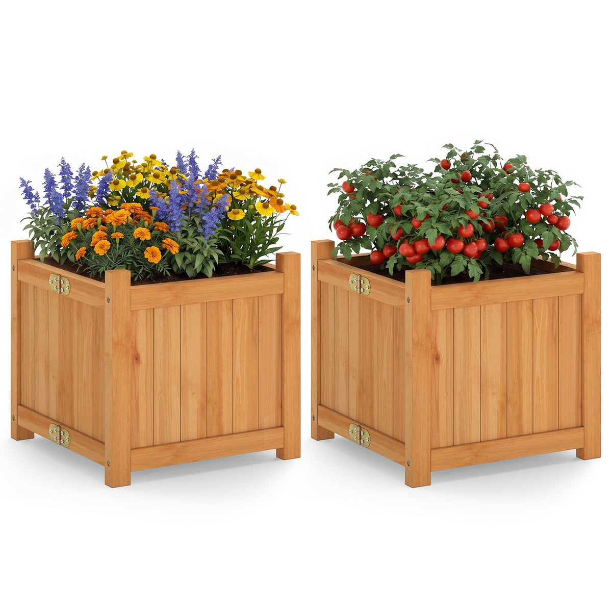 Two warm wood raised garden beds planted with flowers and tomatoes