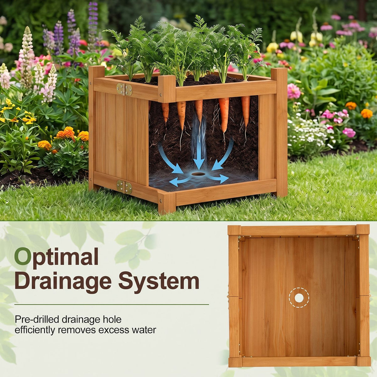 Cutaway planter shows carrots above a dark interior with arrows, alongside a view of its bottom panel.