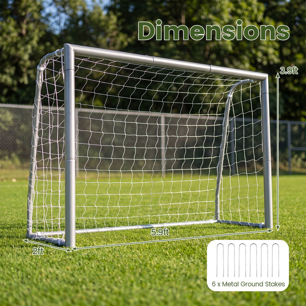 Soccer goal on grass with measurement arrows and an inset showing ground stakes.