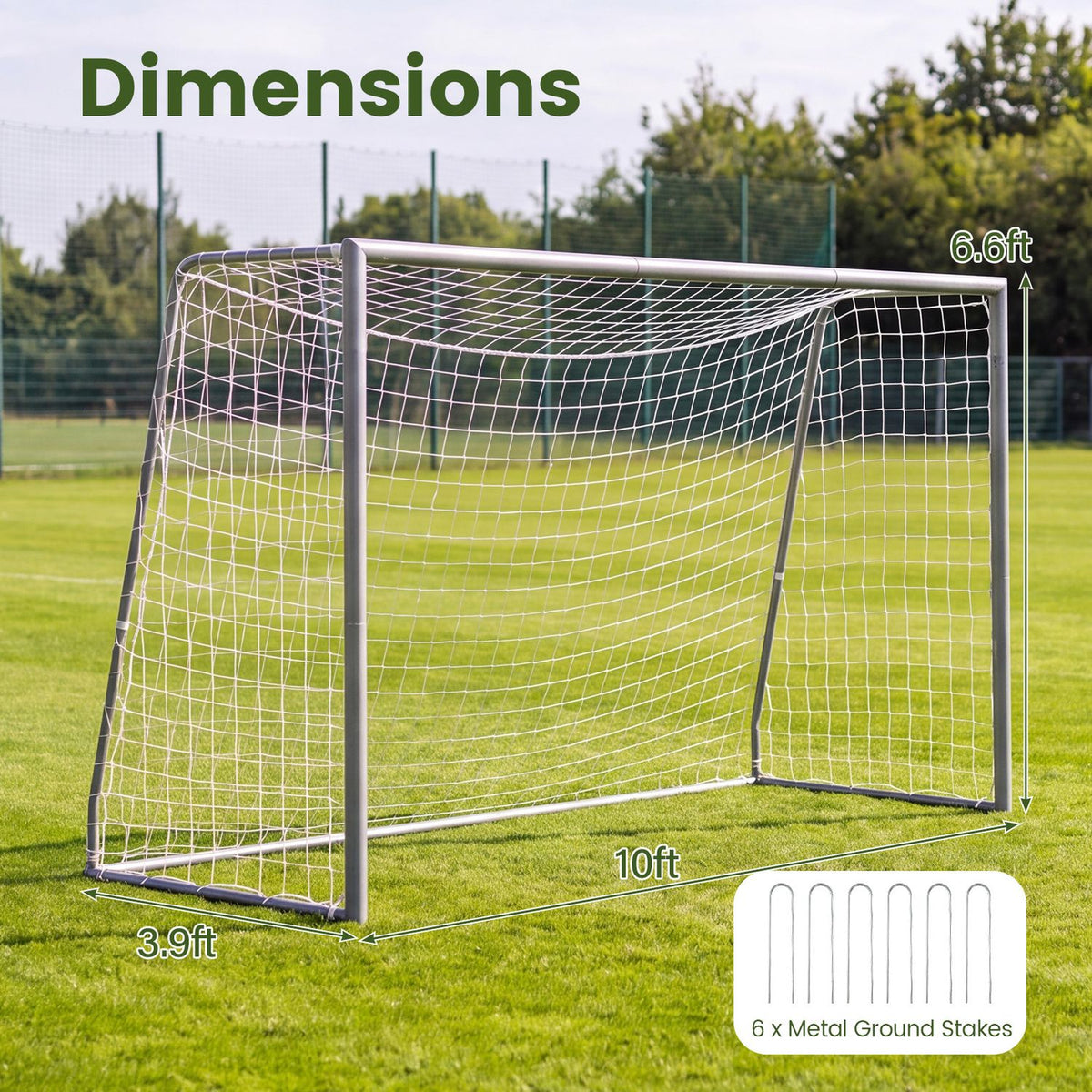 Soccer goal and net on a field, with measurement arrows and an inset showing ground stakes.