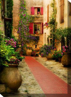 Fleur De Rue Outdoor Canvas Wall Art