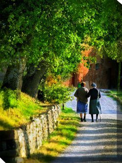 Descendants Outdoor Canvas Wall Art