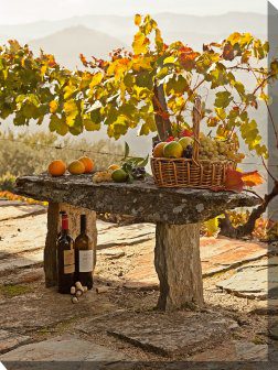 Abundance Outdoor Canvas Wall Art