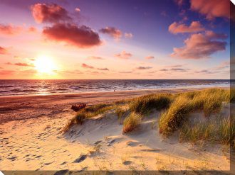 Windswept Outdoor Canvas Wall Art