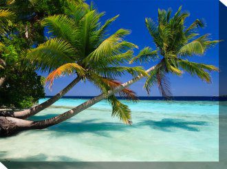 Palms Duo Outdoor Canvas Wall Art