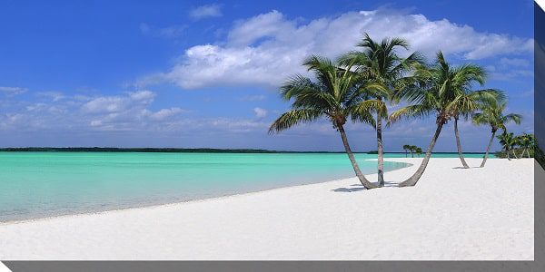 Sugar Sand Outdoor Canvas Wall Art