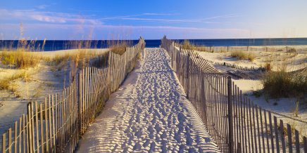 Beach Walk Outdoor Canvas Wall Art