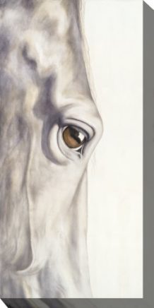 Pale Long Eye Outdoor Canvas Wall Art