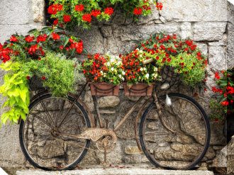 Rusty Bicylette Outdoor Canvas Wall Art