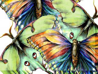 Pastel Butterly 2 Outdoor Canvas Wall Art
