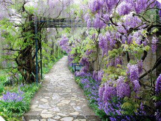 Wisteria Path Outdoor Canvas Wall Art