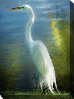 Poised Patience Outdoor Canvas Wall Art