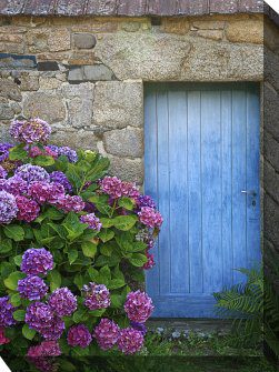 Indigo Entry Outdoor Canvas Wall Art