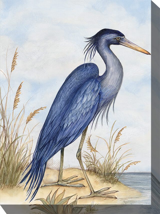 Great Blue Heron Outdoor Canvas Wall Art