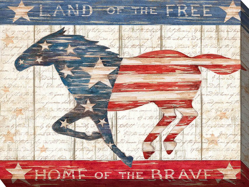 Home Of The Free Outdoor Canvas Wall Art