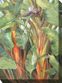 Hidden Paradise 2 Outdoor Canvas Wall Art