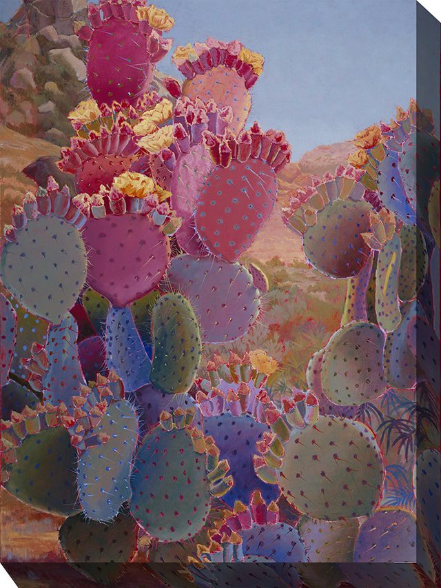 Painted Desert Outdoor Canvas Wall Art