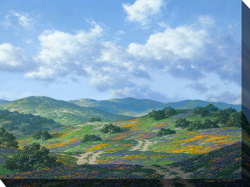 Take The Back Road Outdoor Canvas Wall Art